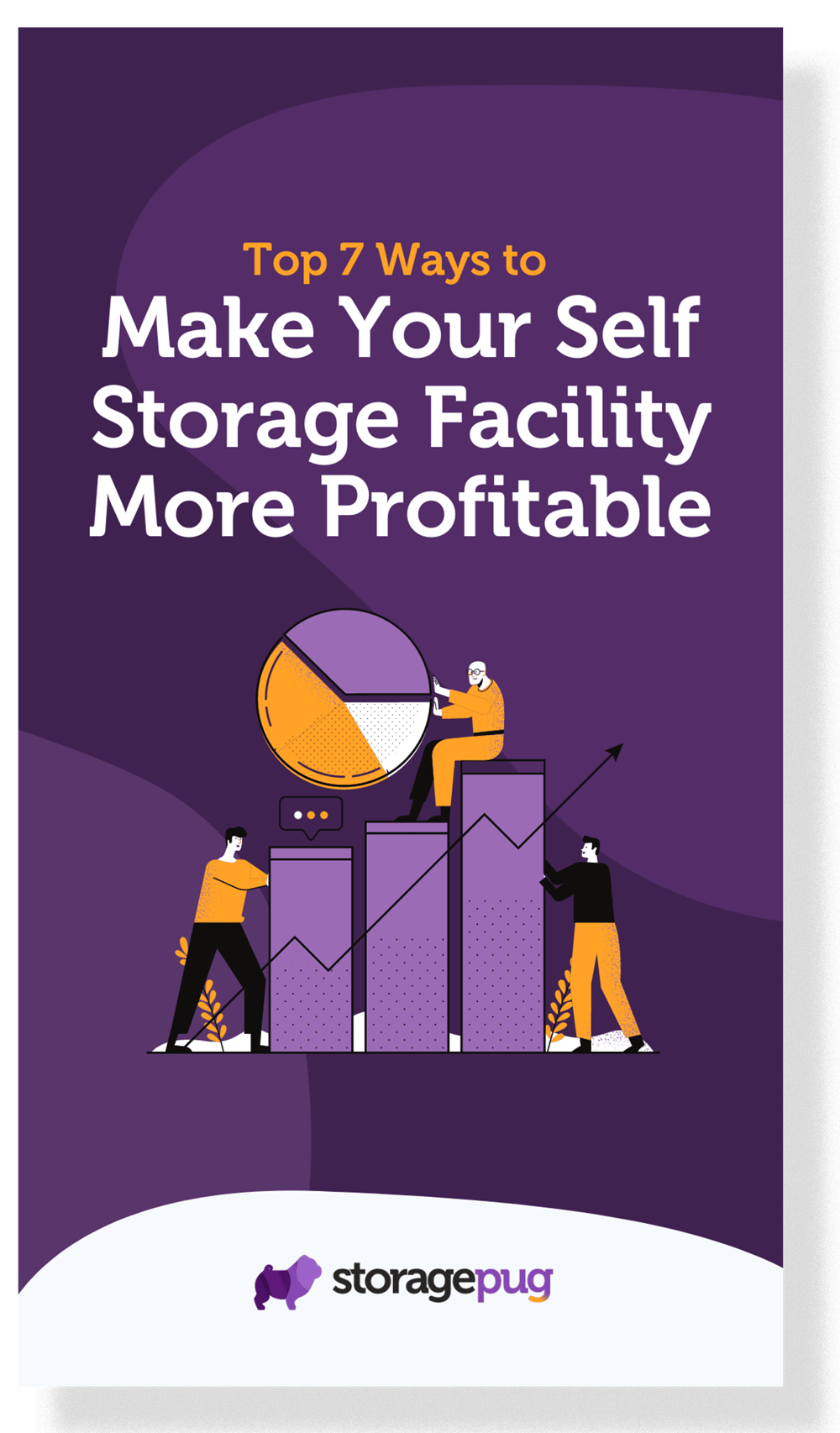 Top 7 Ways to Make Your Self Storage Facility More Profitable StoragePug